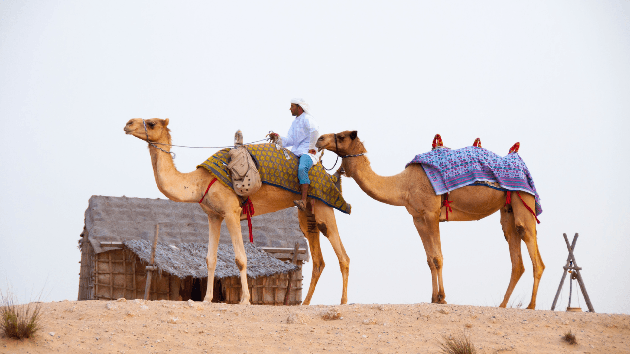 Dubai Tourism